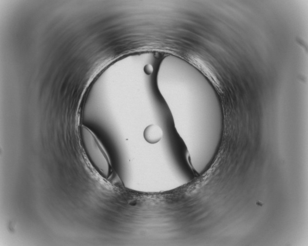 X0000096420900200802071700