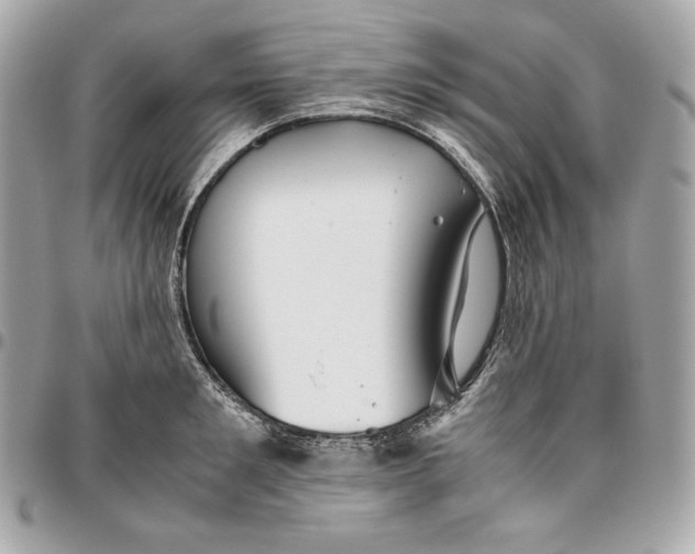 X0000096420901200802071700