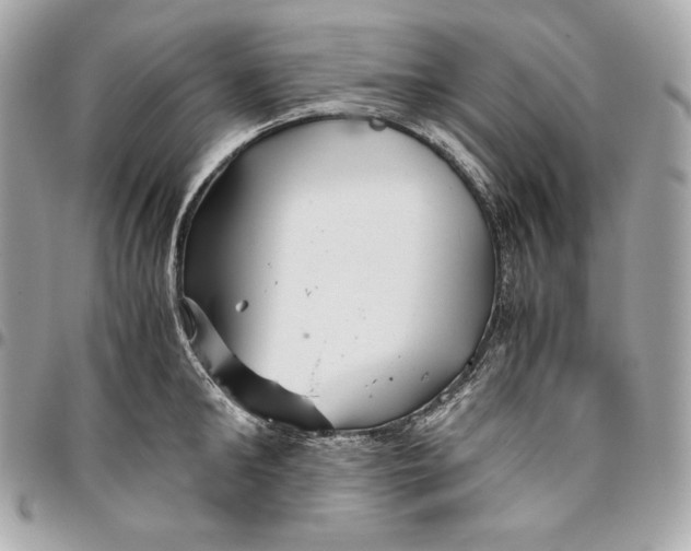 X0000096420902200802071700