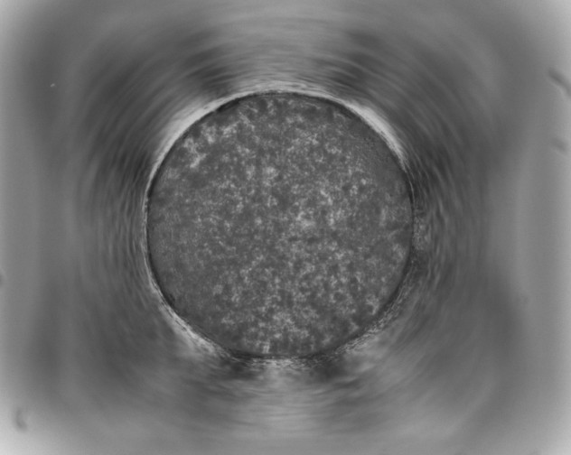 X0000096420903200802071700