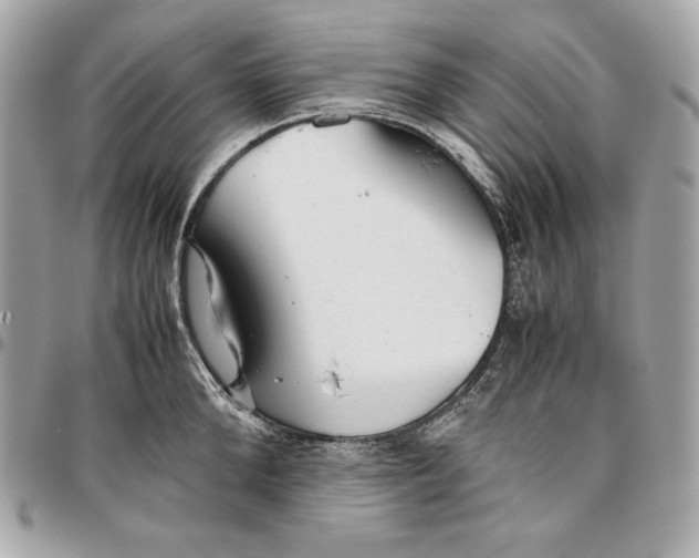 X0000096420904200802071700