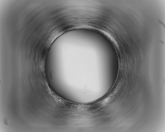 X0000096420905200802071700