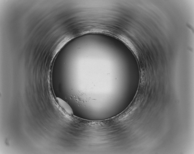 X0000096420906200802071700