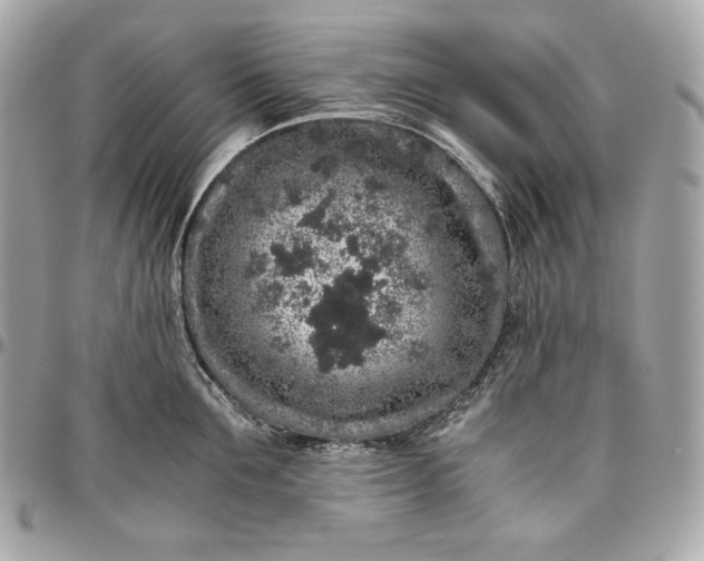 X0000096420907200802071700