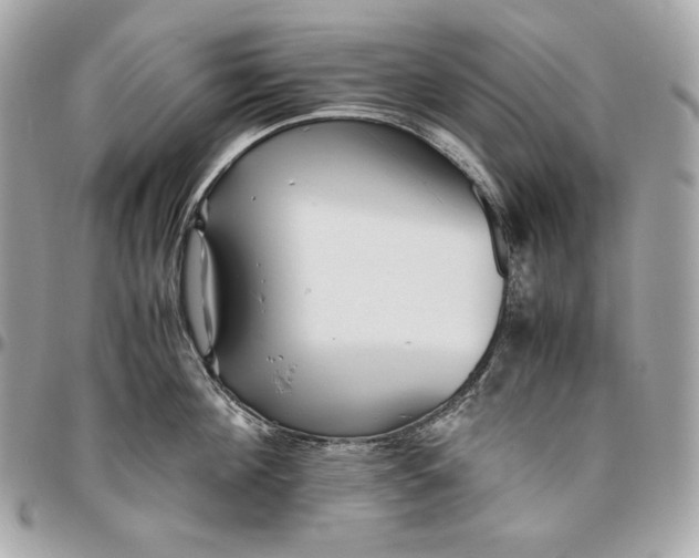 X0000096420908200802071659