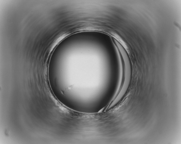 X0000096420909200802071659