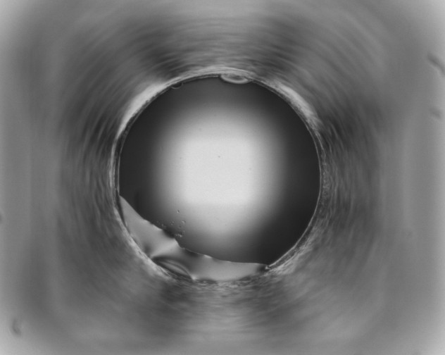 X0000096420910200802071659