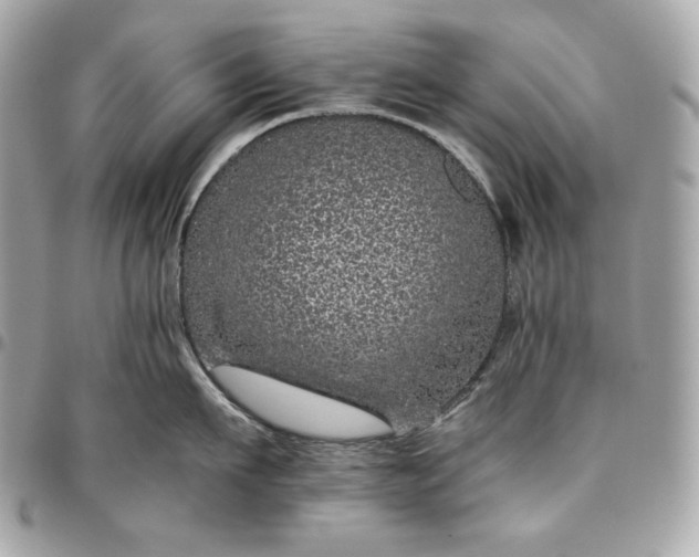 X0000096420911200802071659