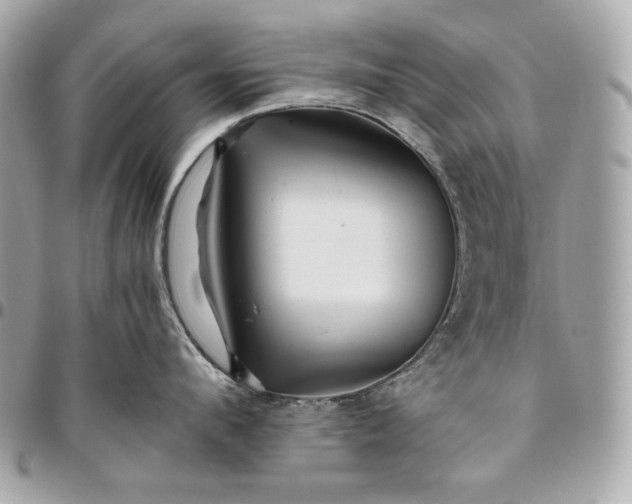 X0000096420912200802071659