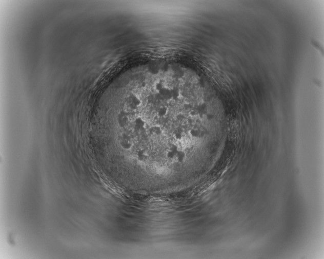 X0000096420913200802071659