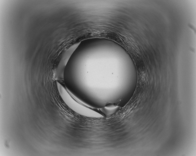 X0000096420914200802071659