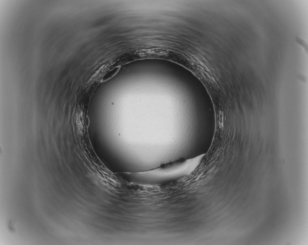 X0000096420915200802071659