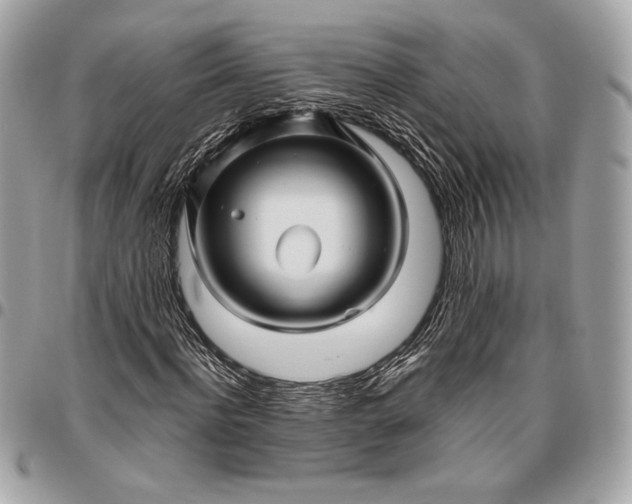 X0000096420916200802071659