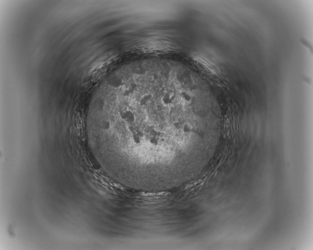 X0000096420917200802071659