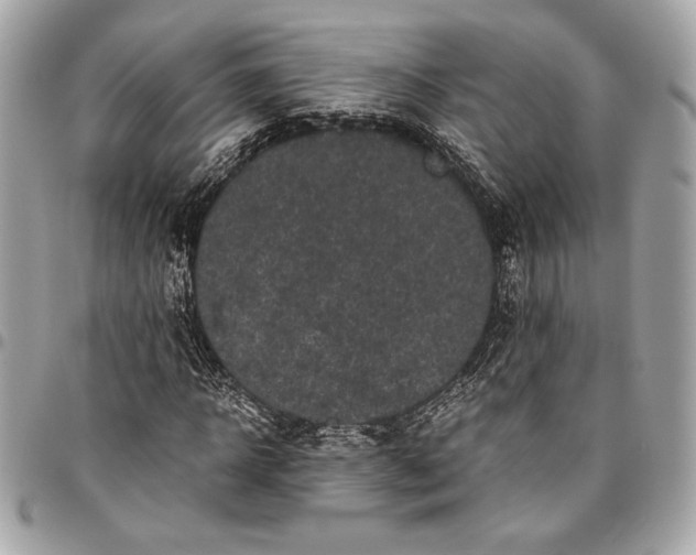 X0000096420918200802071659