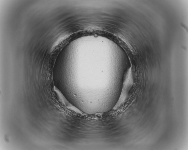 X0000096420919200802071659