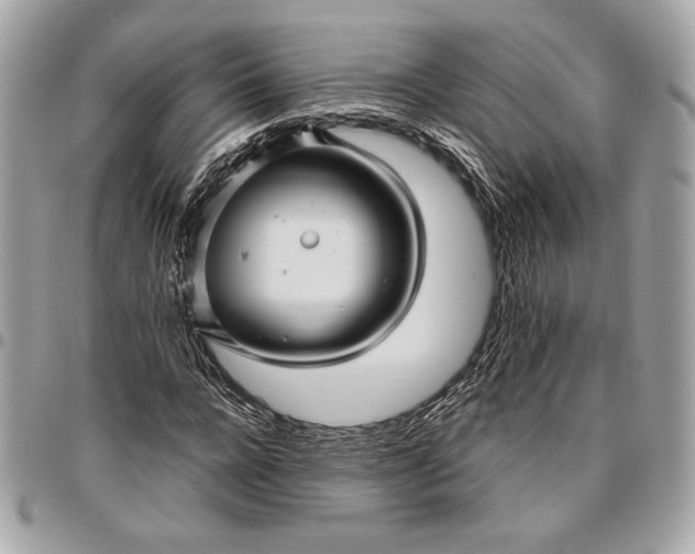 X0000096420920200802071659