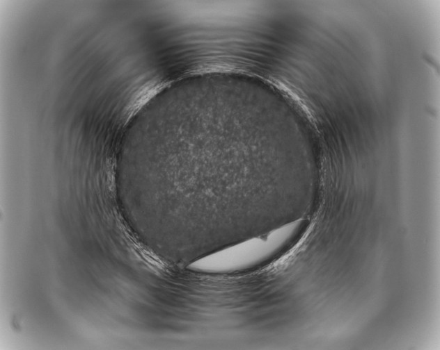 X0000096420921200802071659