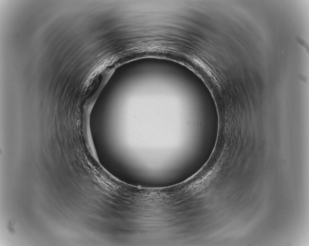 X0000096420922200802071659