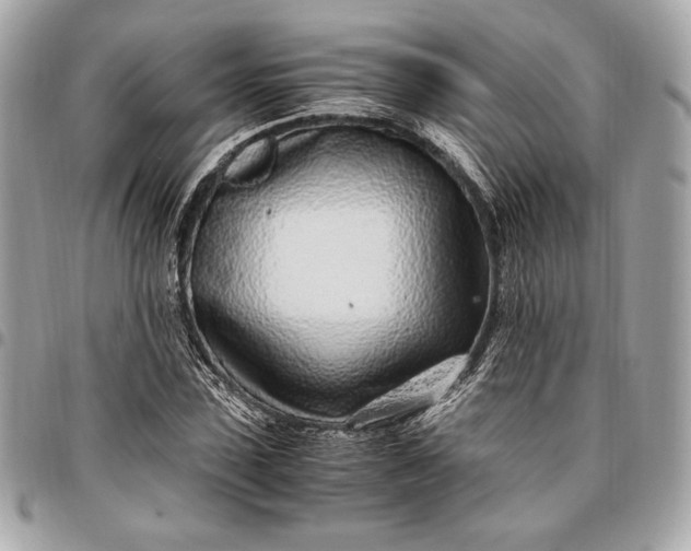 X0000096420923200802071659