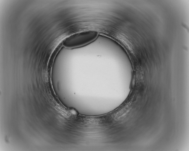 X0000096420924200802071659