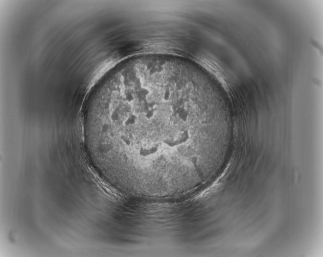 X0000096420925200802071659