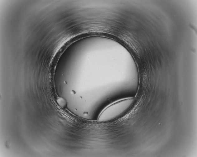 X0000096420926200802071659