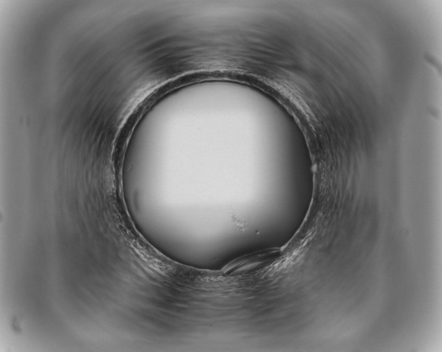 X0000096420927200802071659