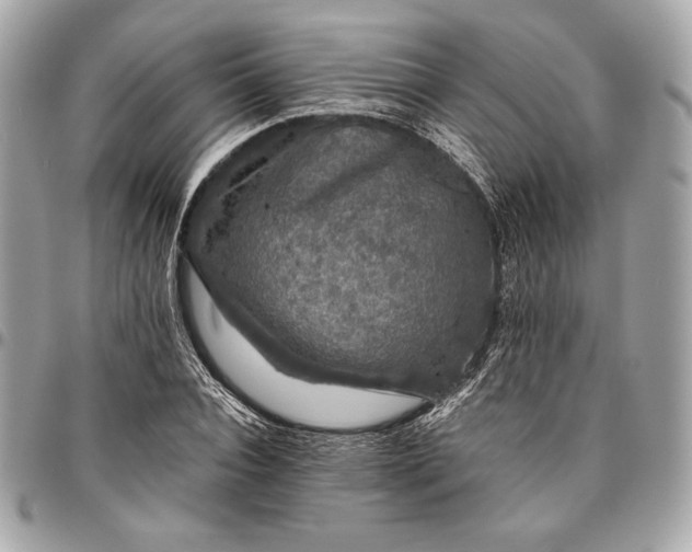 X0000096420928200802071659