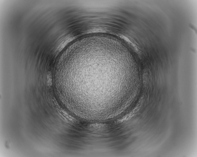 X0000096420929200802071659