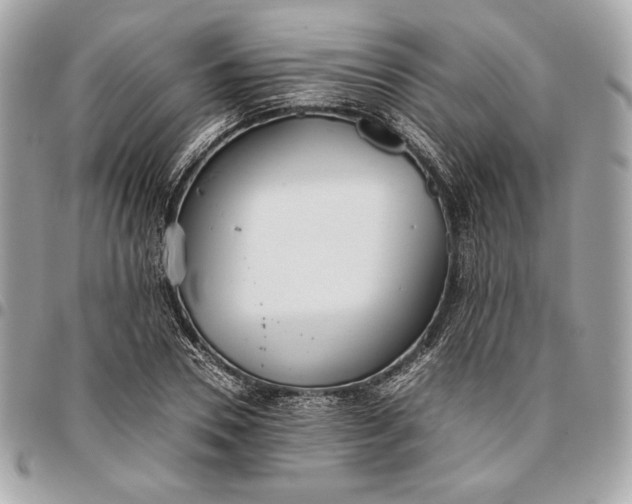 X0000096420930200802071659