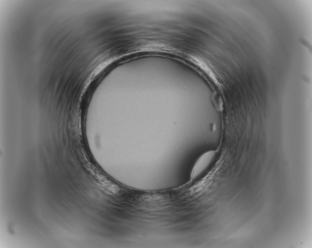 X0000096420931200802071659