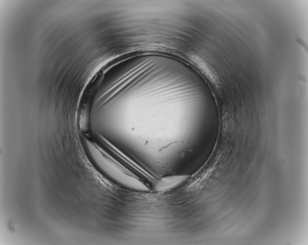 X0000096420932200802071659