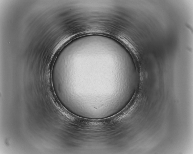 X0000096420933200802071659