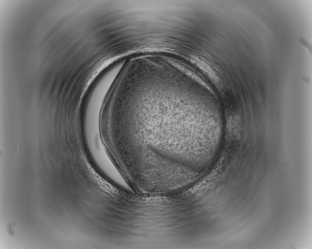 X0000096420934200802071659