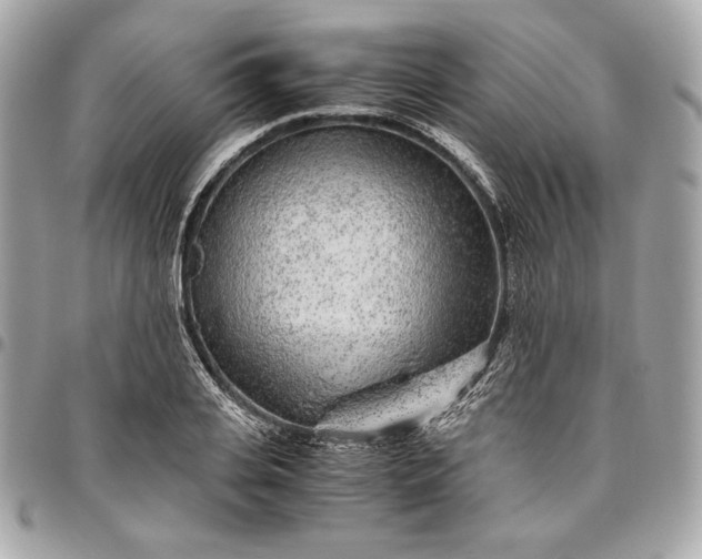 X0000096420935200802071659