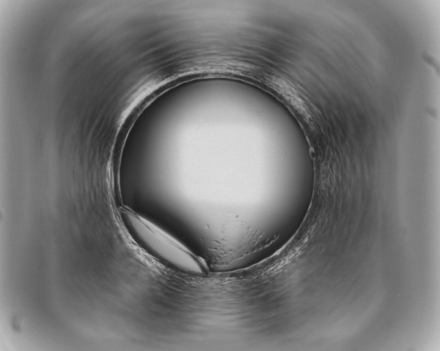 X0000096420936200802071659