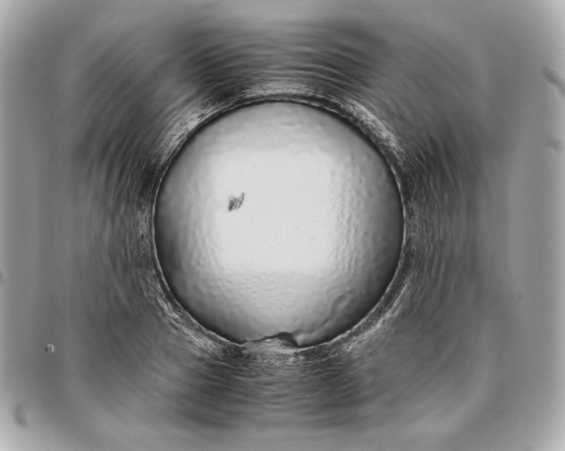 X0000096420937200802071659