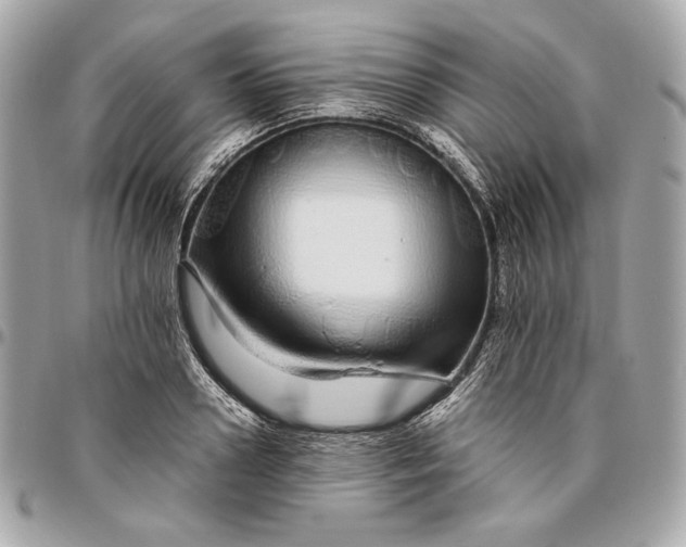 X0000096420938200802071659