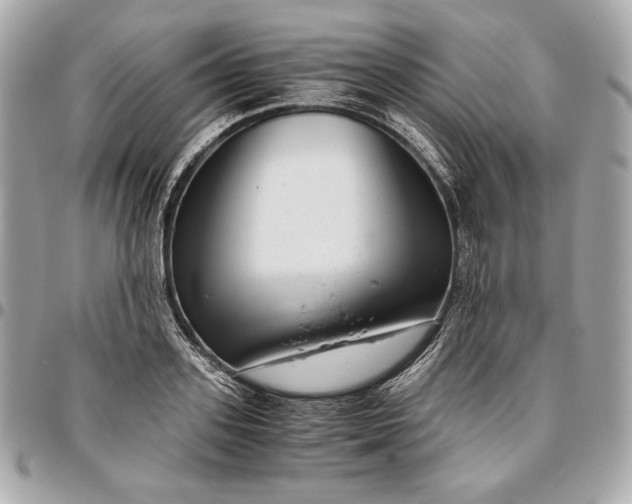 X0000096420939200802071659