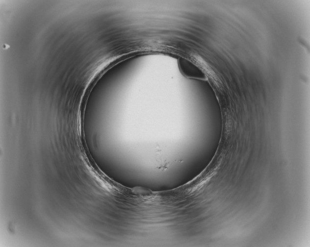 X0000096420940200802071659