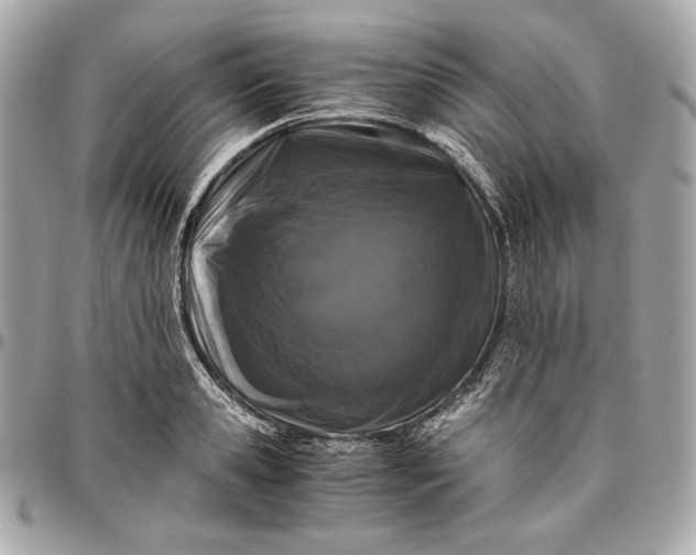 X0000096420941200802071659