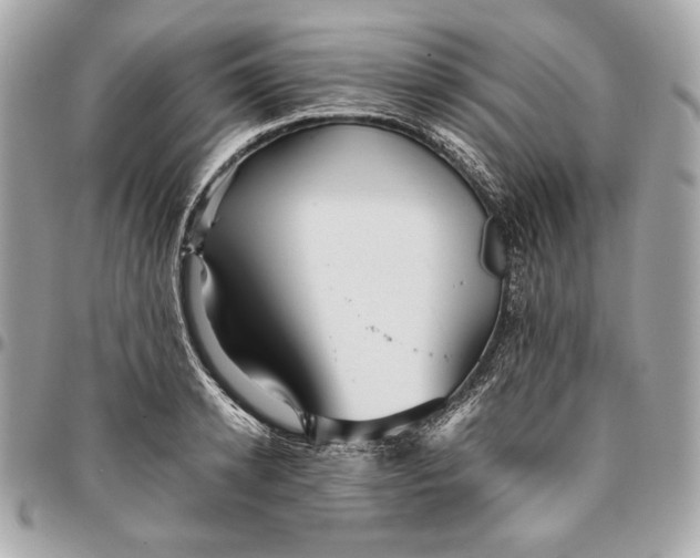 X0000096420942200802071659