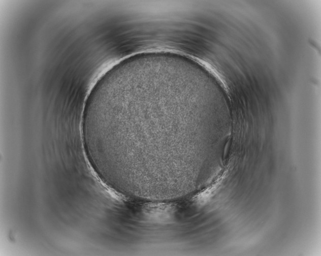 X0000096420943200802071659