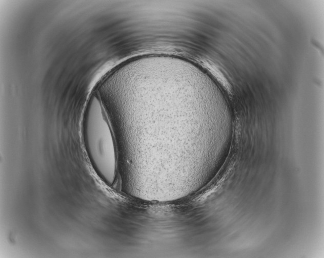 X0000096420944200802071659