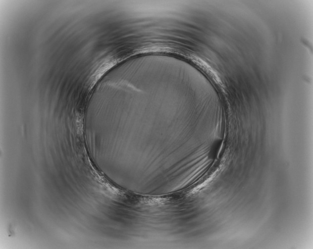 X0000096420945200802071659