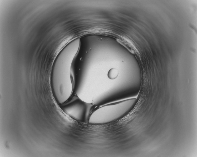 X0000096420946200802071659