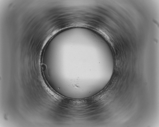 X0000096420947200802071659