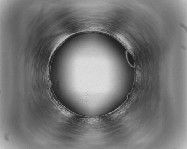 X0000096420948200802071659