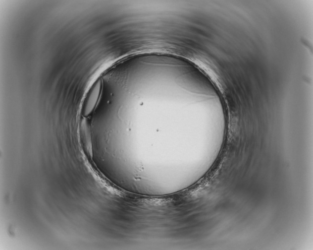 X0000096420949200802071659